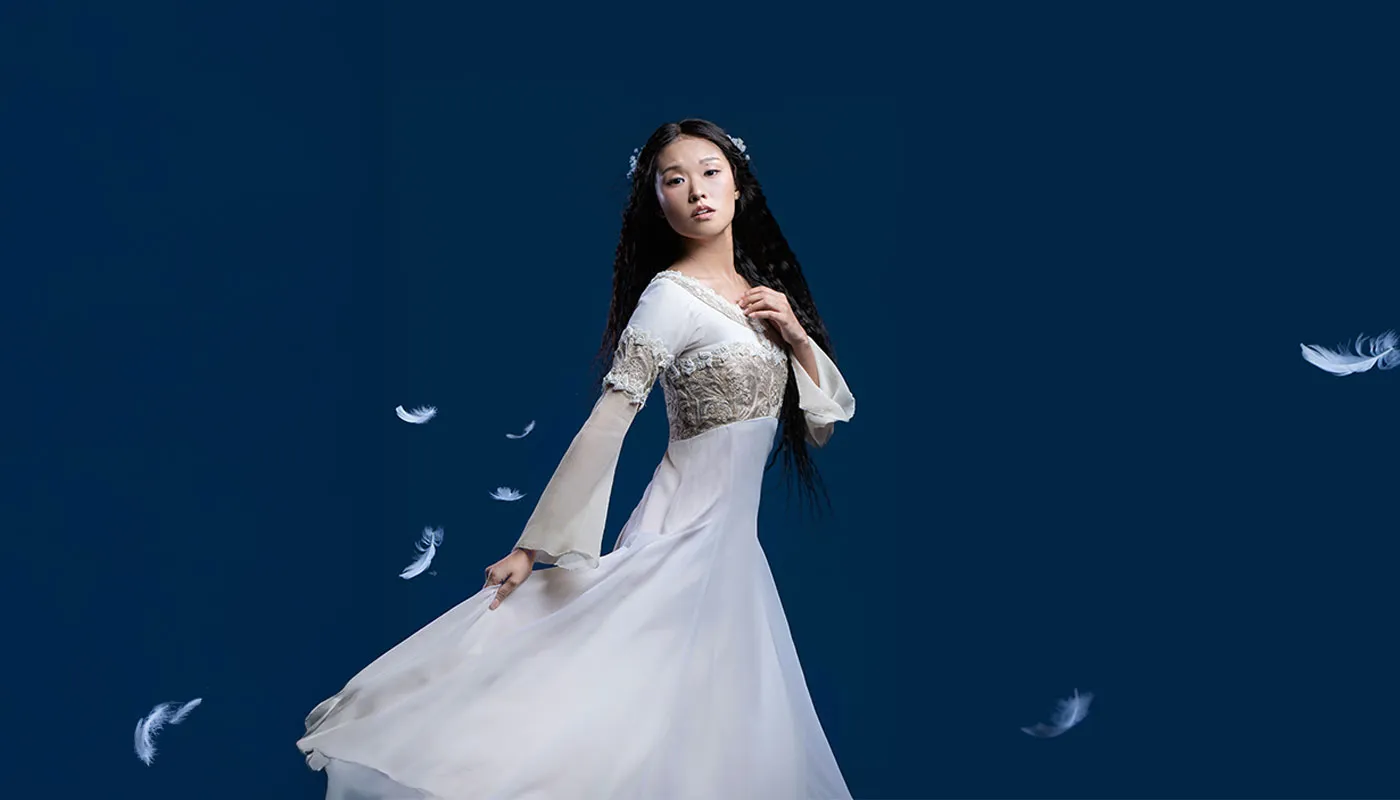 Image Swan Lake