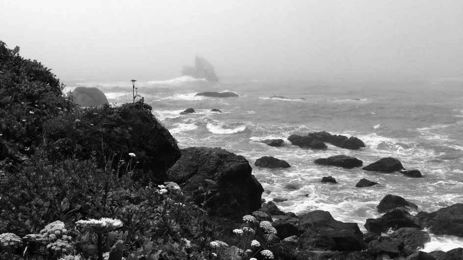 Image BBC Philharmonic - Lost Coast