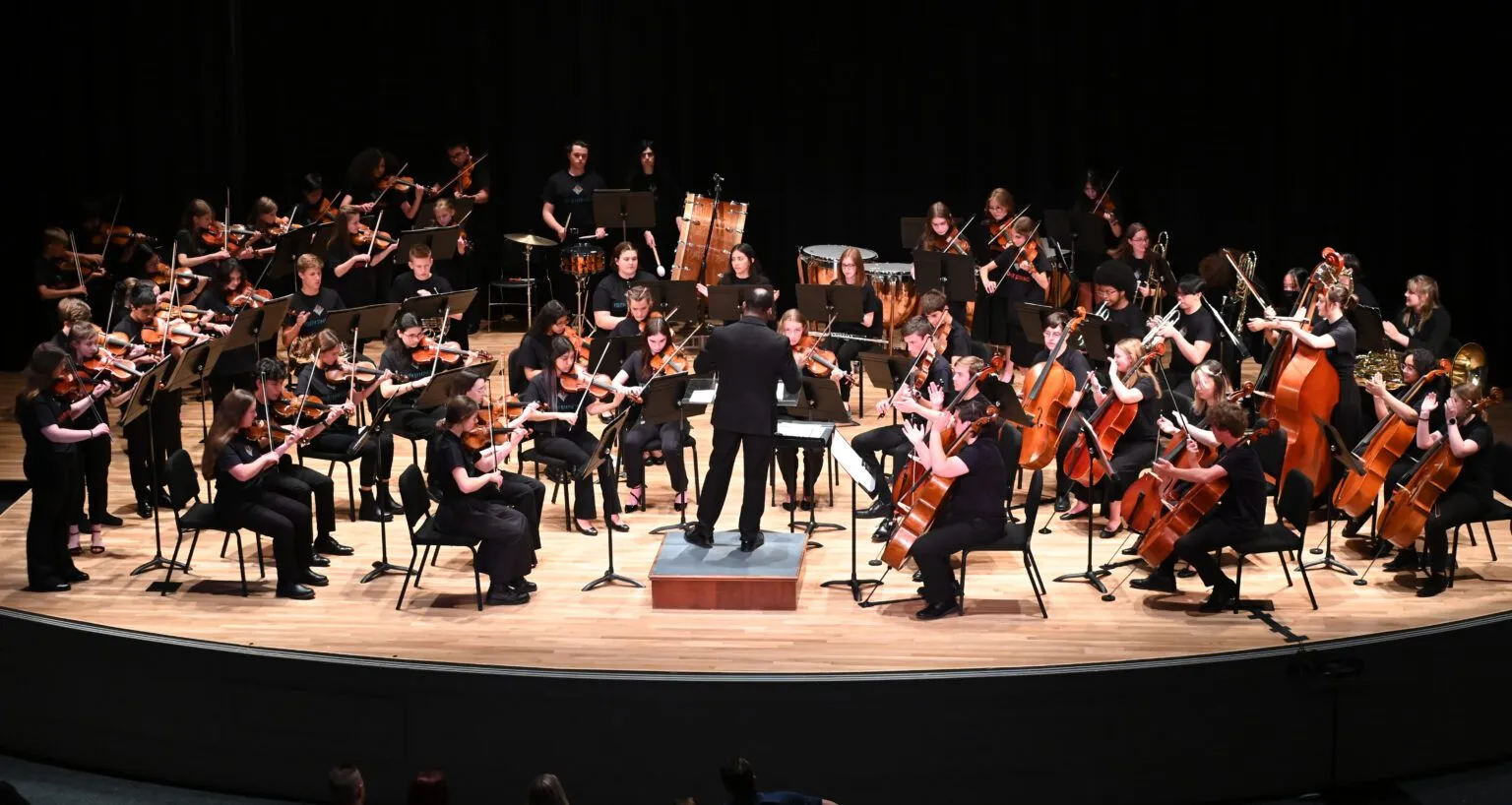 Image WPS Youth Orchestras Fall Concert