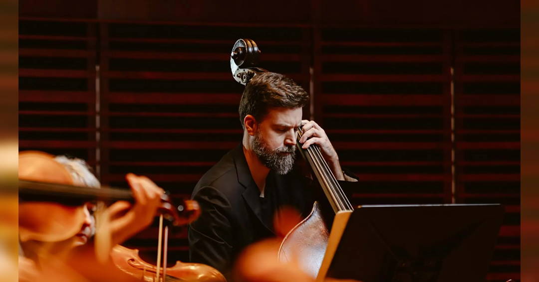 Toute la puissance des cordes