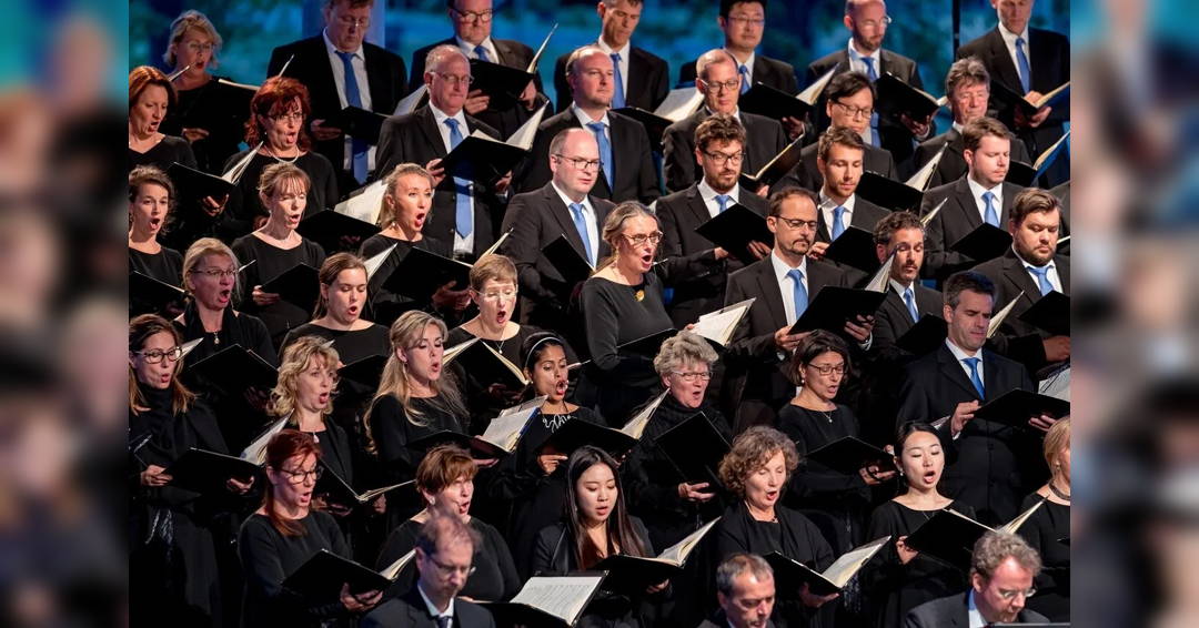 Gastkonzert in Dresden