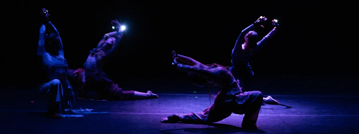 Image Fall Choreography Showcase