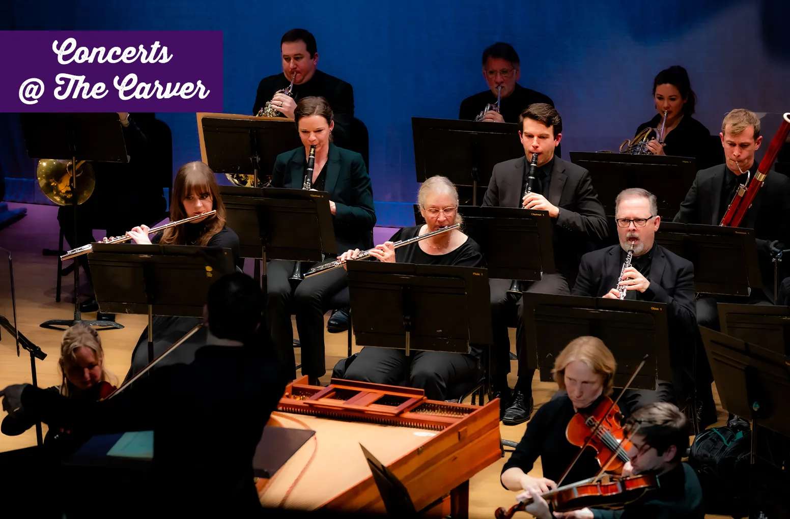 The French Connection