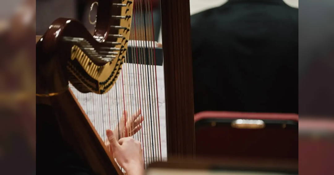 Image Elegant for three