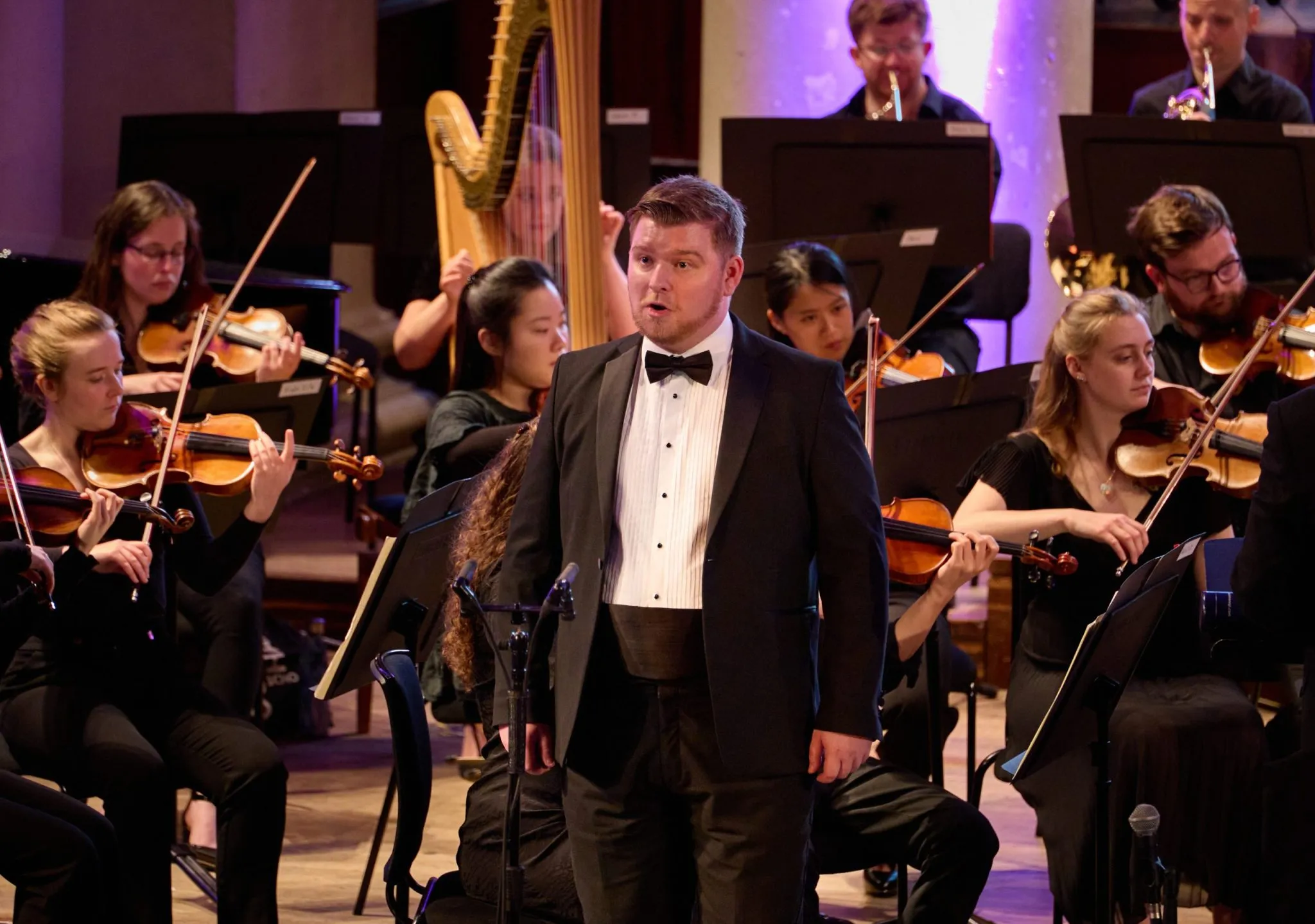 Image Peter Hulsen Orchestral Song Award