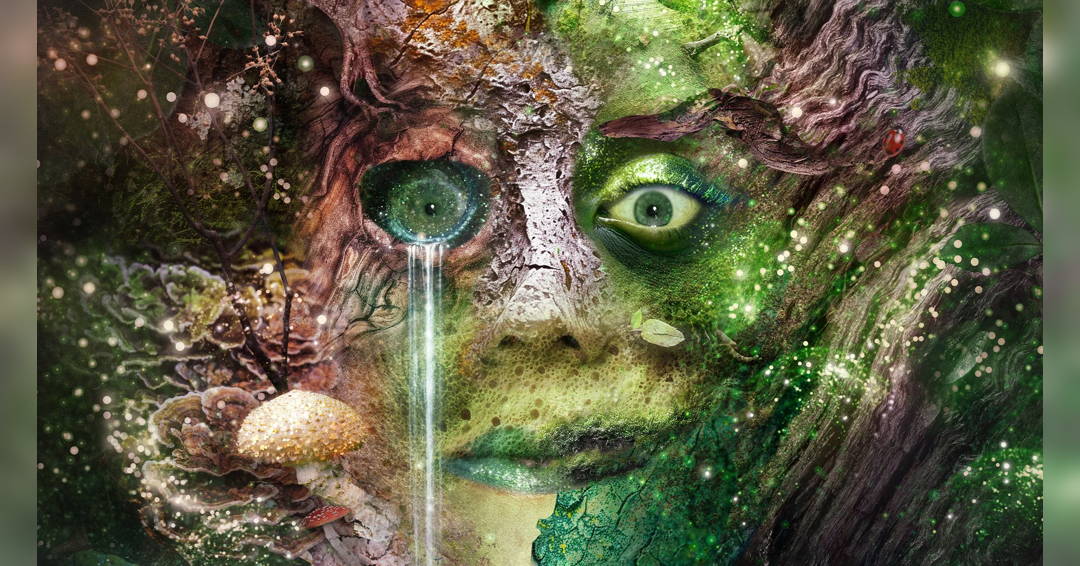 Bryony Kimmings - Bog Witch