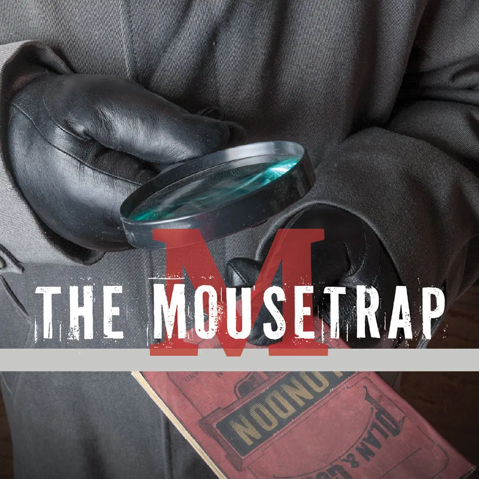 A Tapestry of Artistry: Theatre, Music, and Dance at SLU