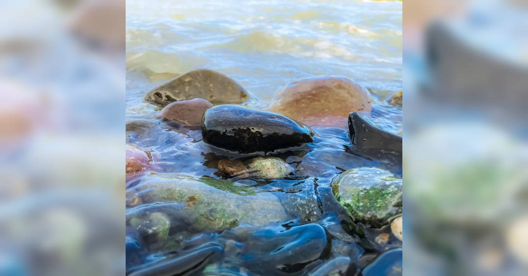 New Year's Celebration