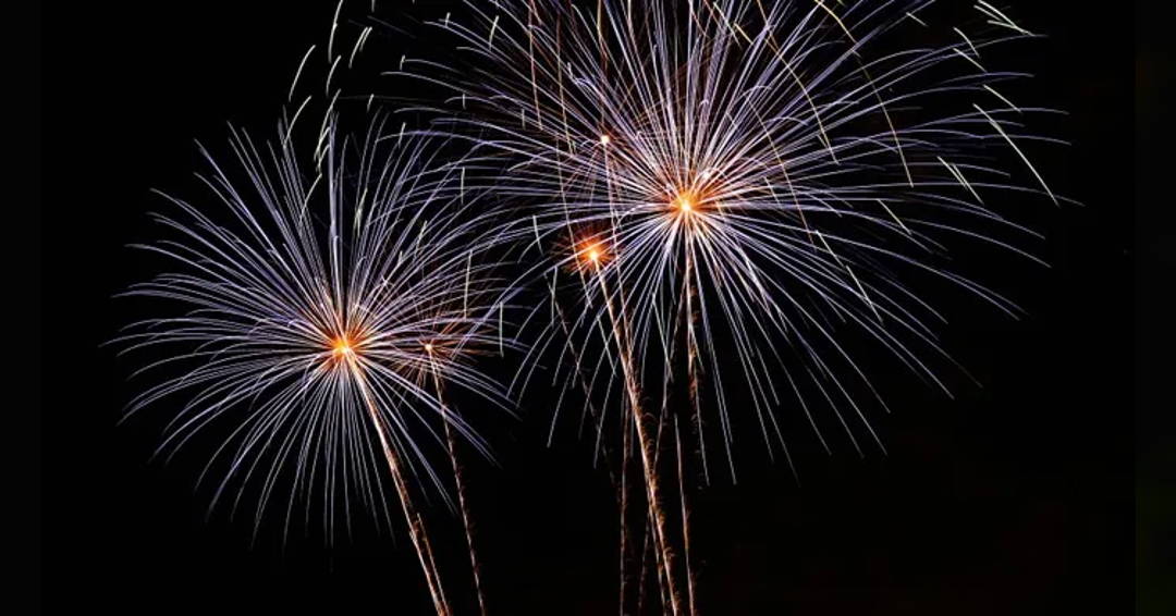 Chamber Music Association of 1887: New Year's Concert