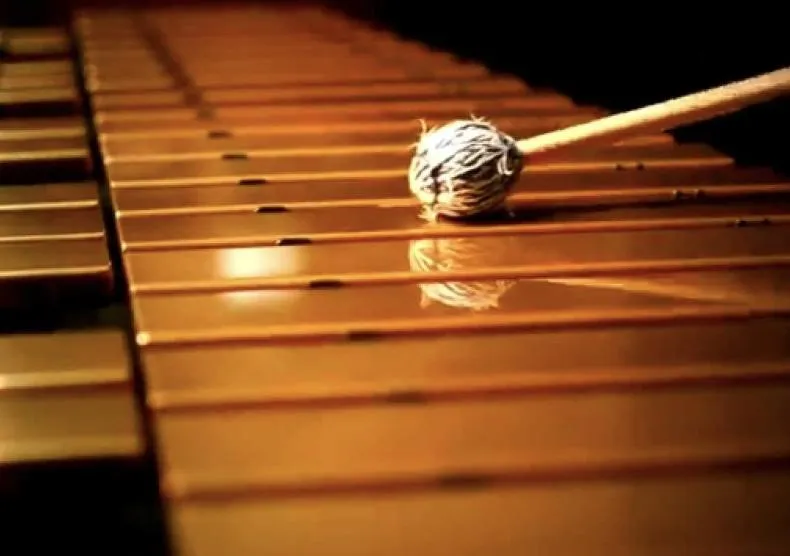 Chamber Music for Percussion