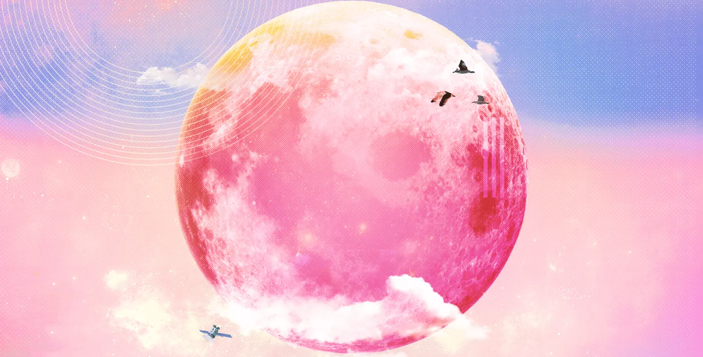 Image Bowie Experience