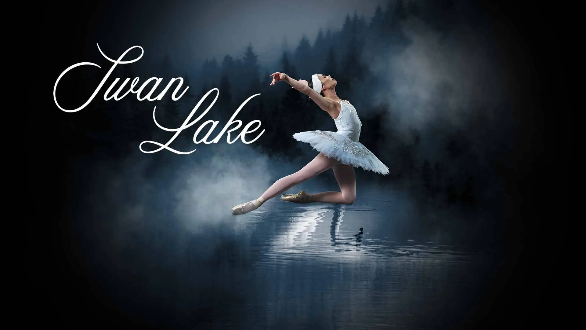 Image Swan Lake