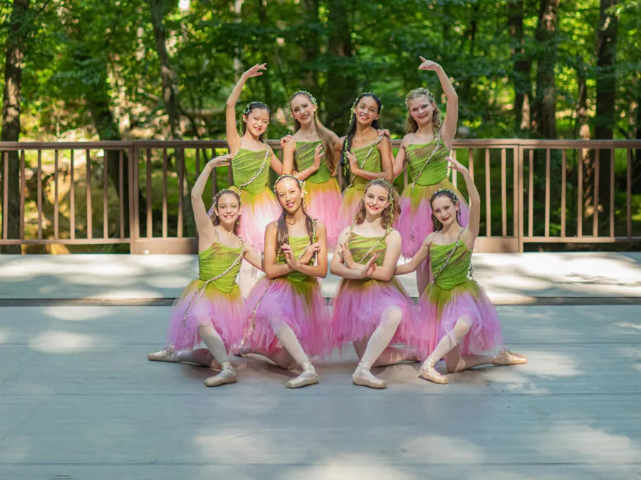 Image Maryland Youth Ballet