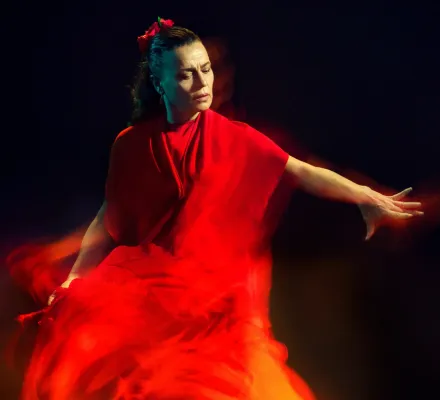 Image Soledad Barrio and Noche Flamenca: Searching for Goya