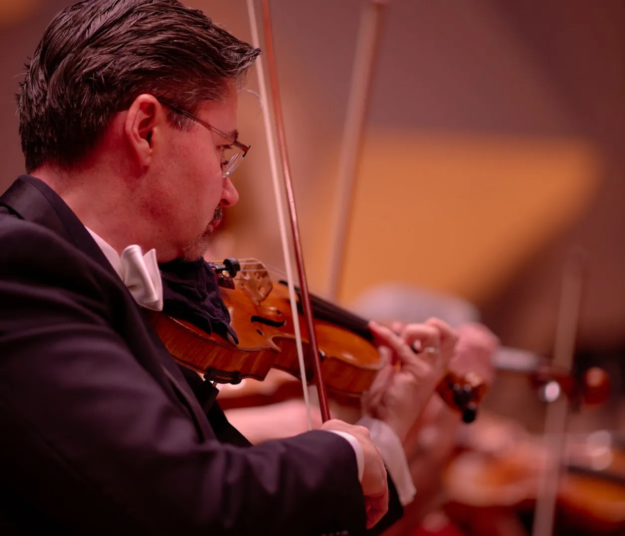 Image Dvořák, Schubert and Bacewicz