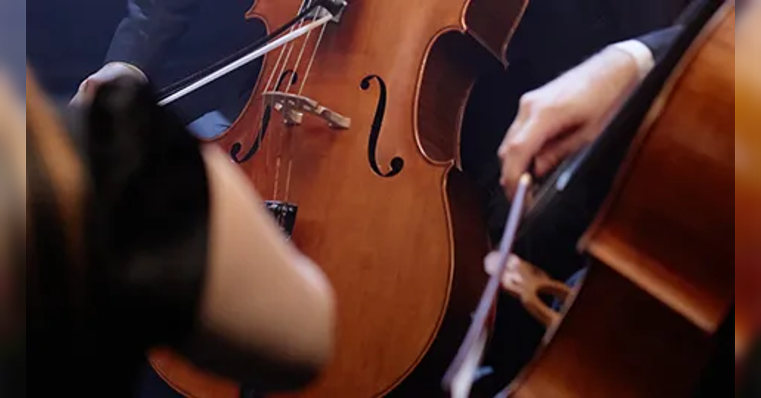 Image Joy of Chamber Music