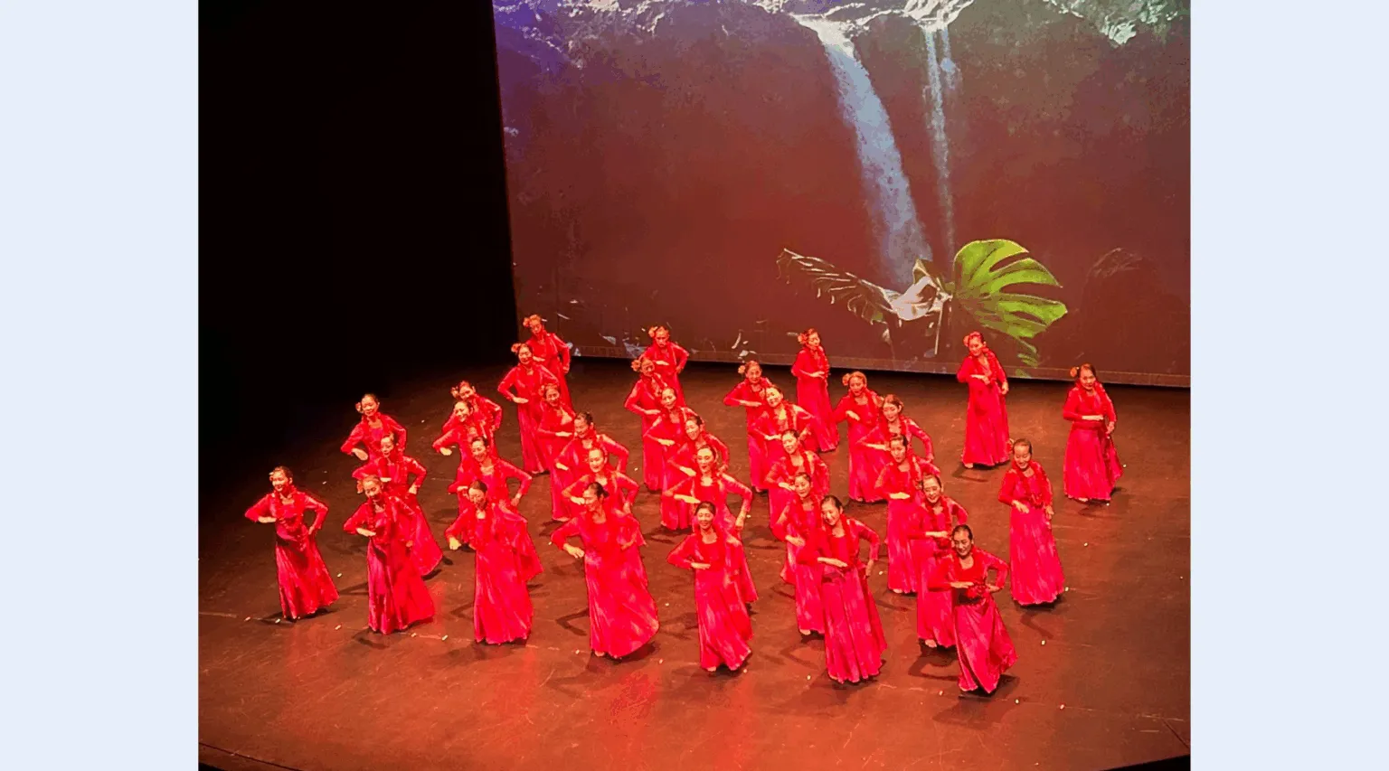 Image Hawaiian Aloha Night