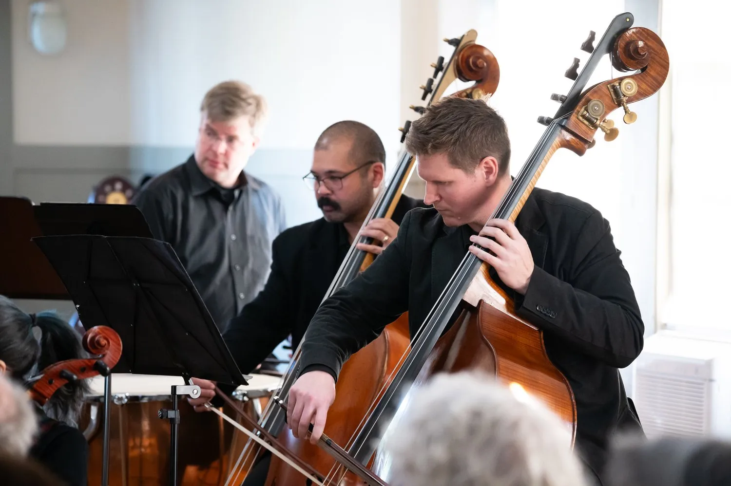 Image North Corner Chamber Orchestra