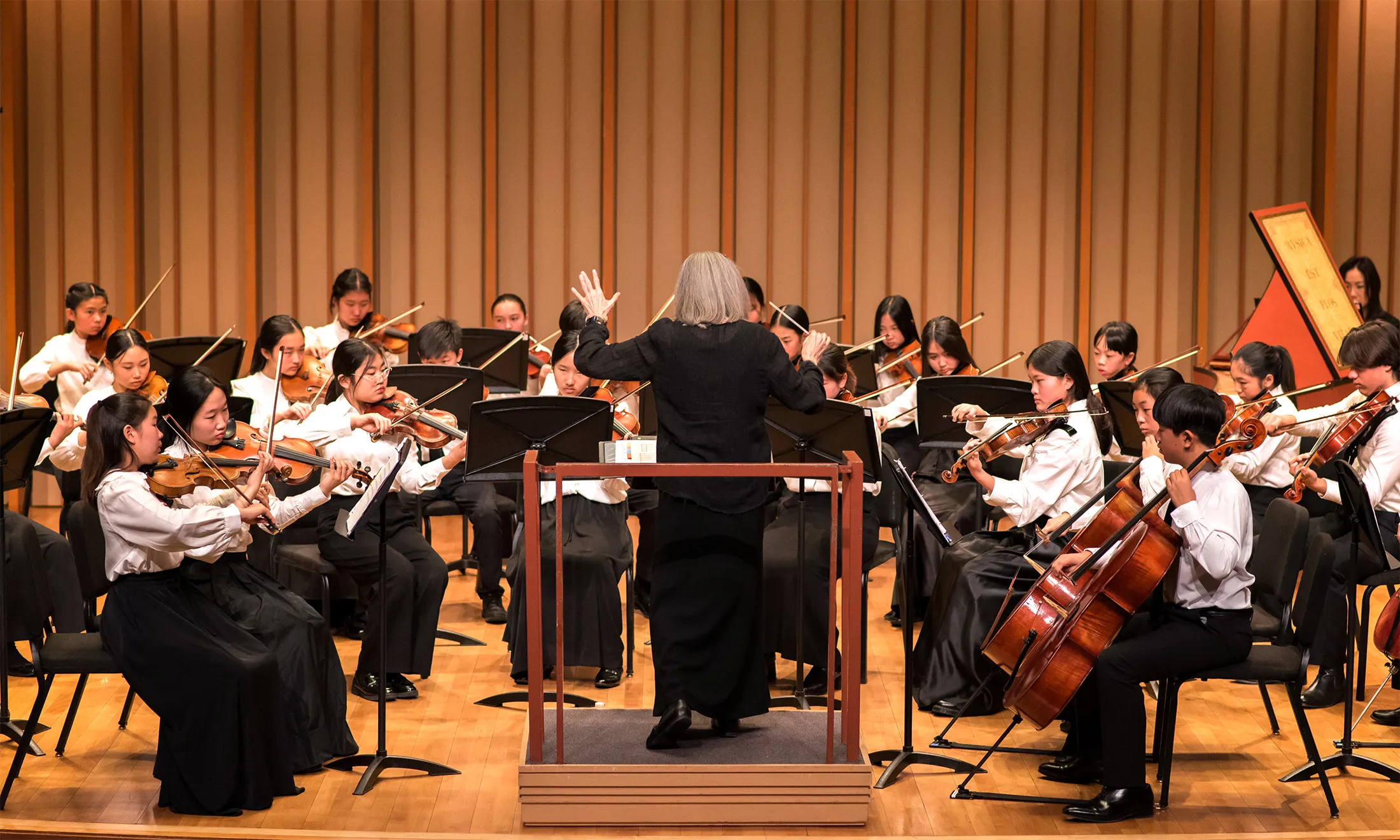 Image Community School Orchestras in Concert