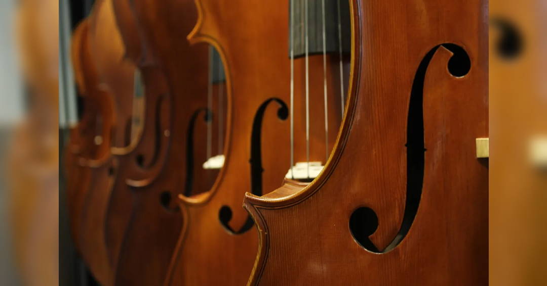 Image Paul Vermel Young Artist Award Winner