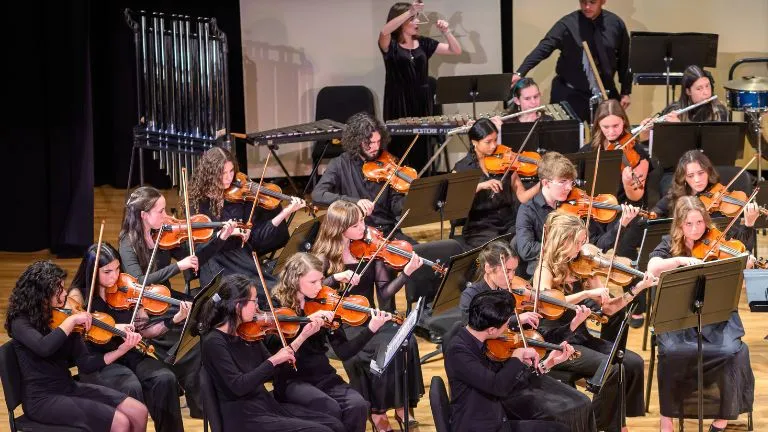 Image WPS Youth Orchestras Fall Auditions (Debut Strings and Youth Symphony) Sep. 2 & 3