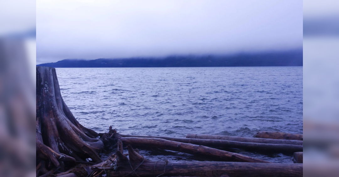 Image The People Of The Snow – Film Screening