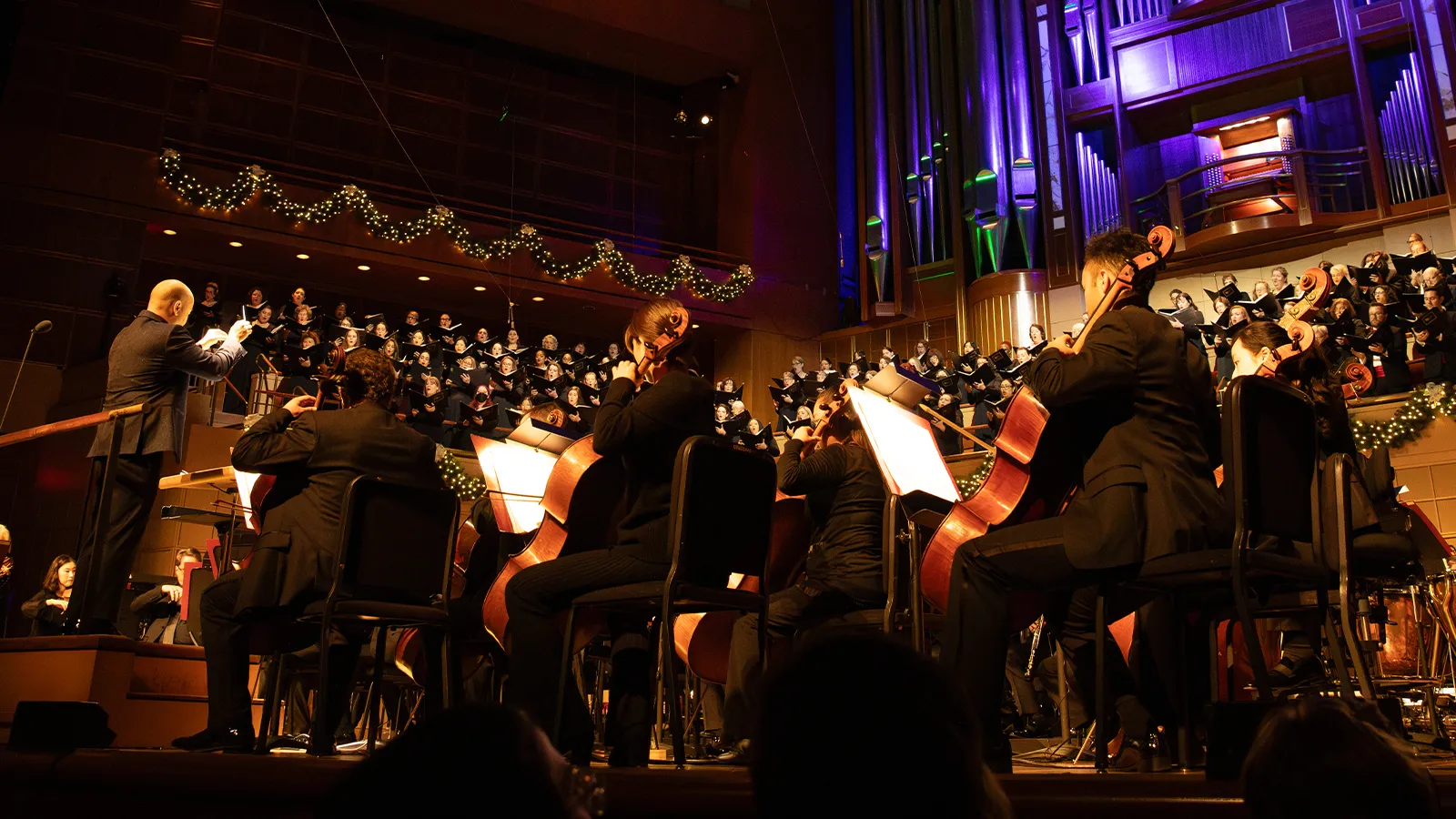 Image Holidays with the DSO