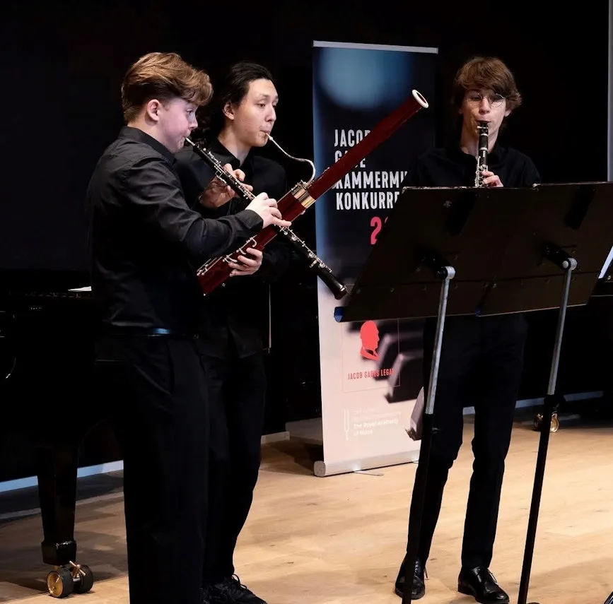 Image Trekklang and Ogan piano trio