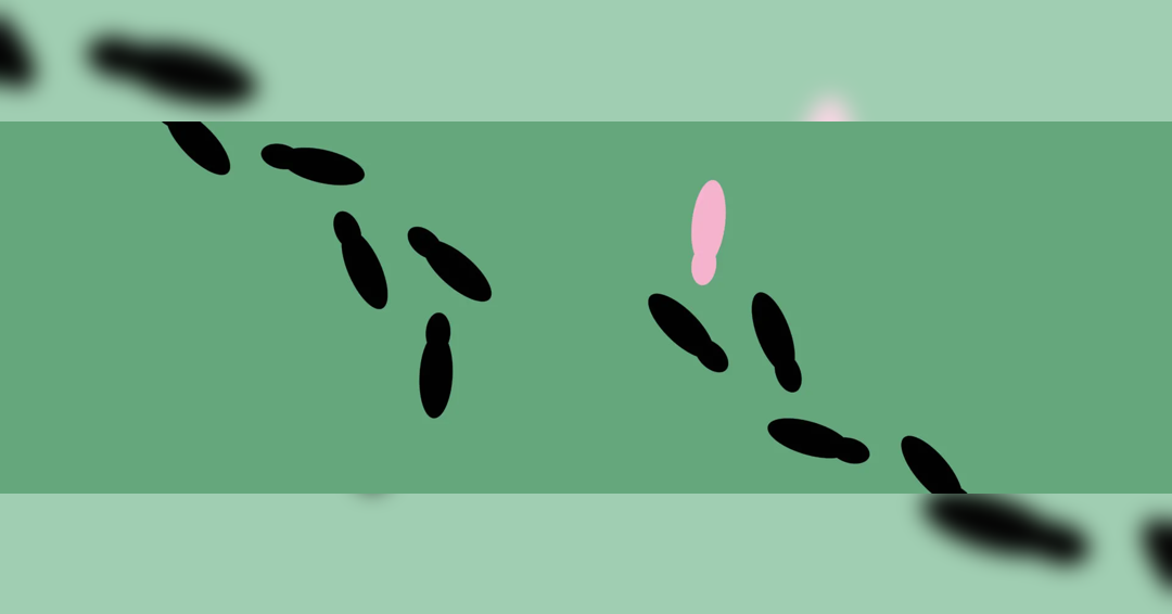 Image Come in! Vienna Municipal Theatre Festival 2025