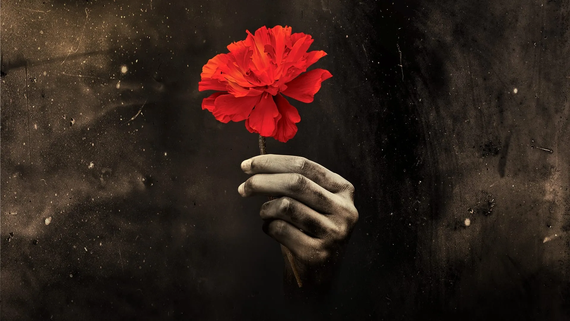 Image Hadestown