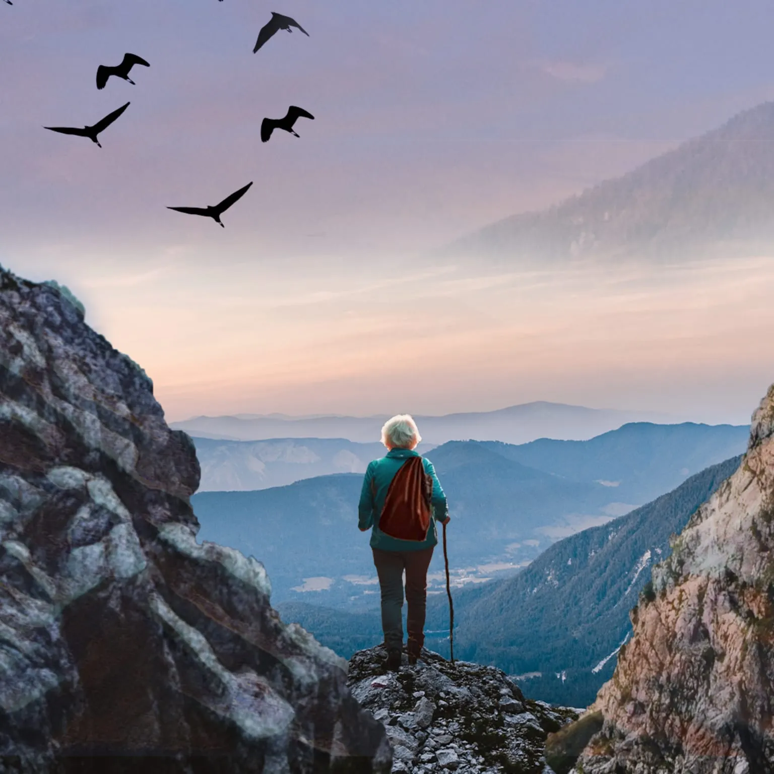 Image Grandma Gatewood Took A Walk