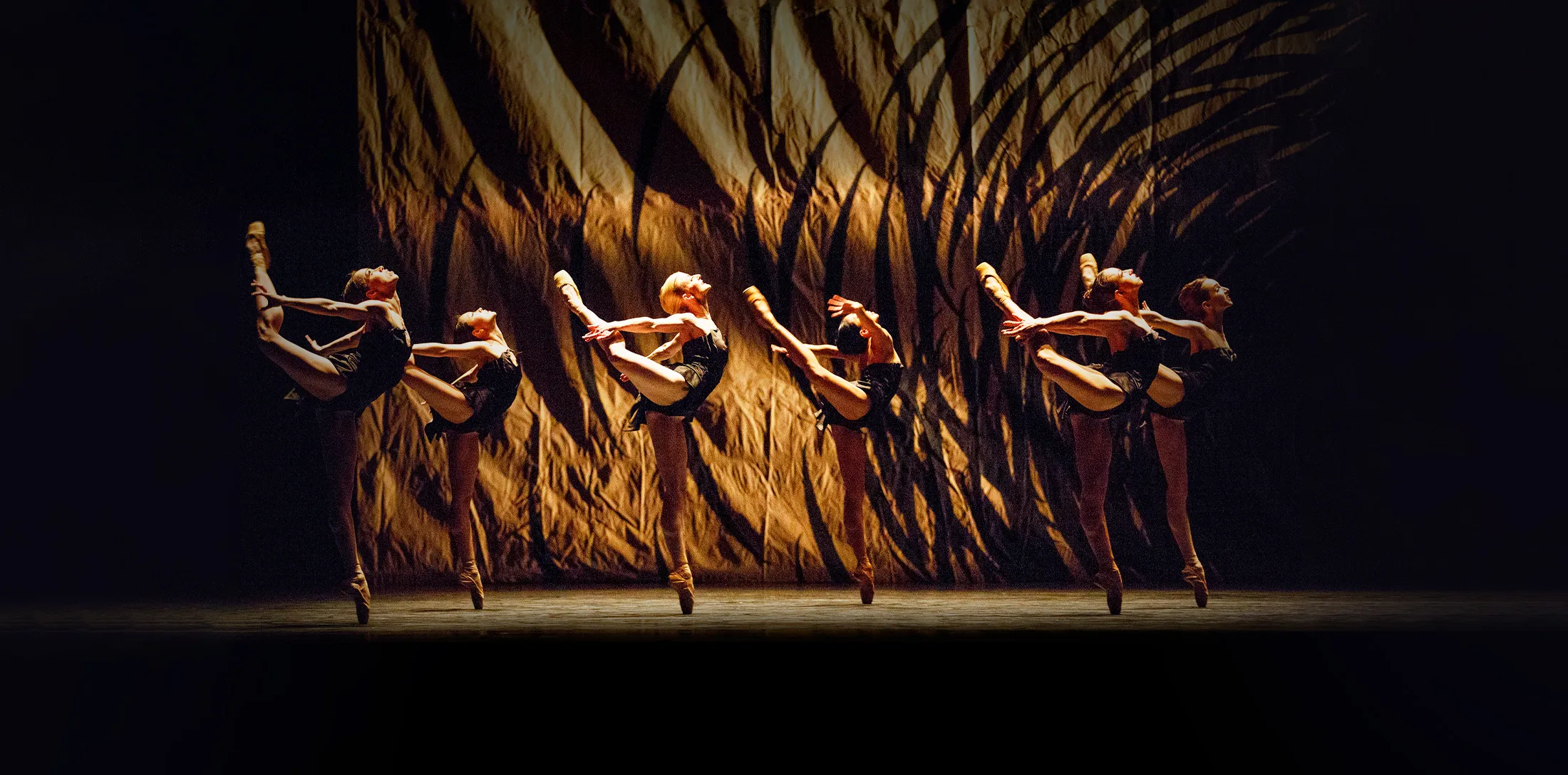 Image Emergence / Silent Screen