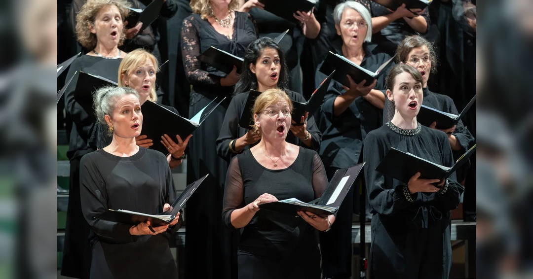 Gastkonzert in Dresden