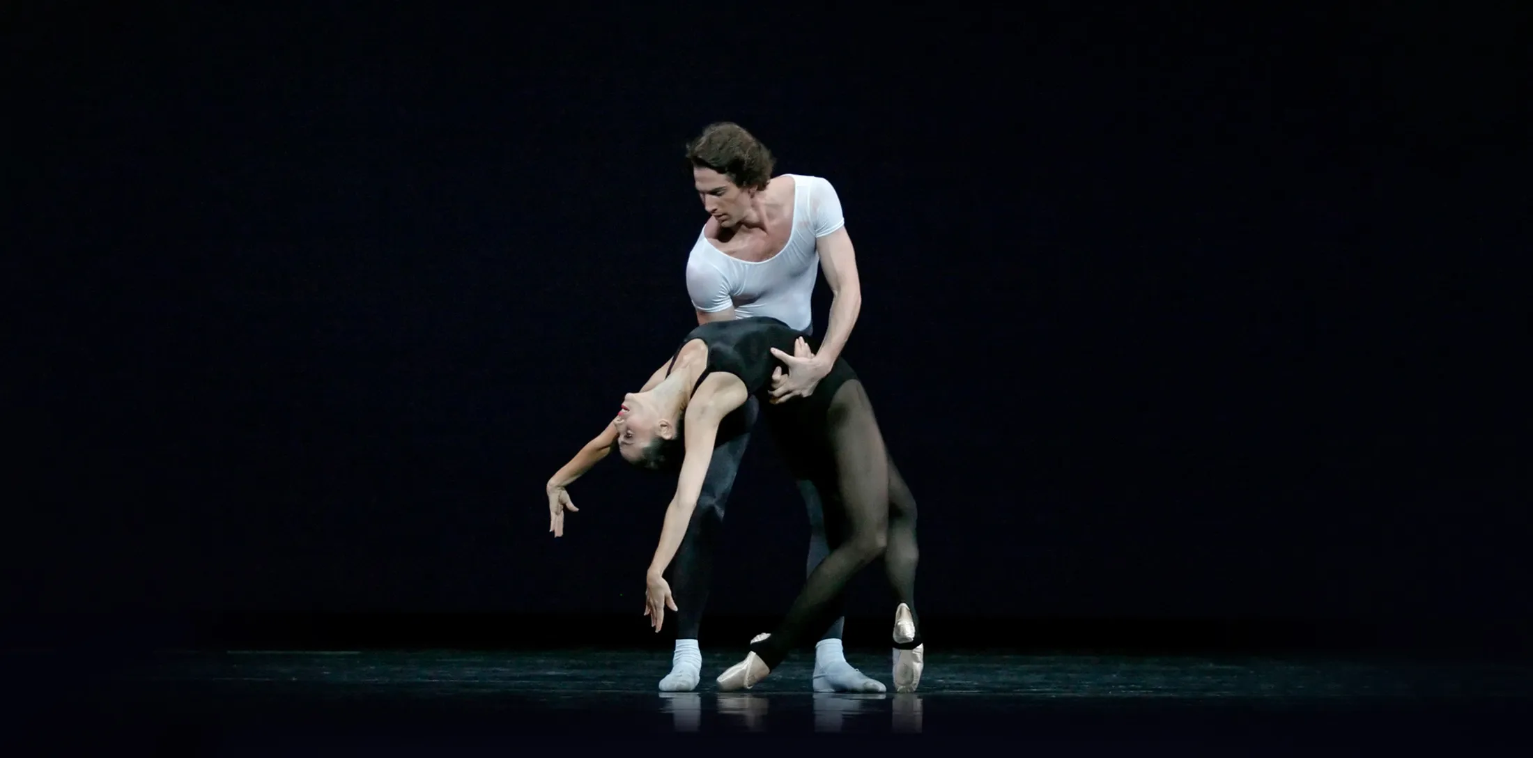 Image Echoes of Stravinsky