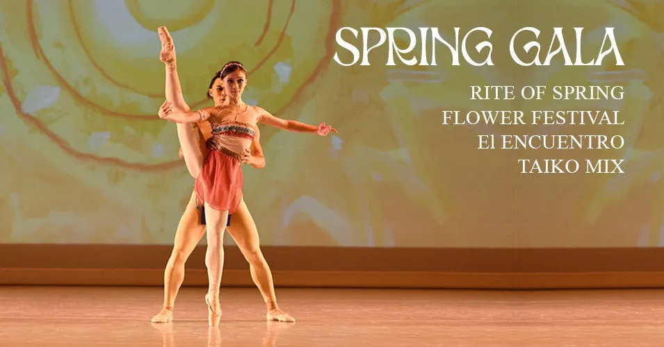 Image Arts Ballet Theatre of Florida: Program IV – Spring Gala: The Rite of Spring