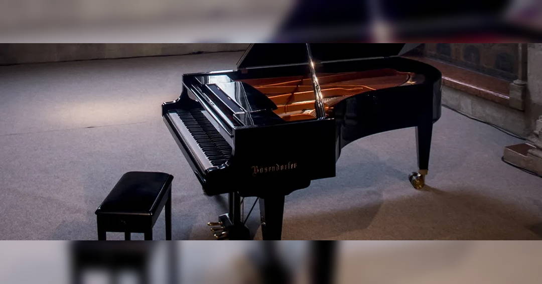 Image Closing concert - Open green wing