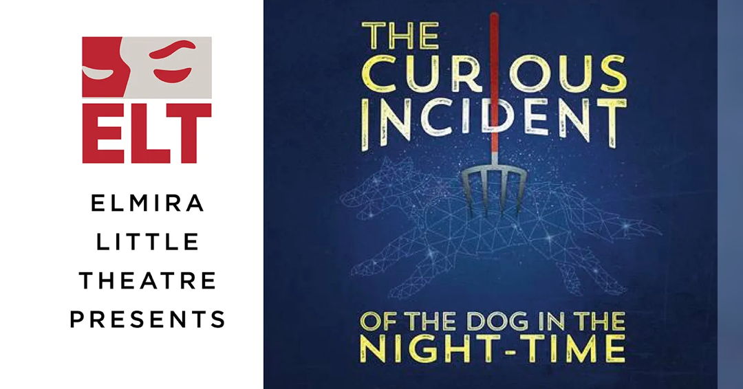 Image The Curious Incident Of The Dog In The Night-time