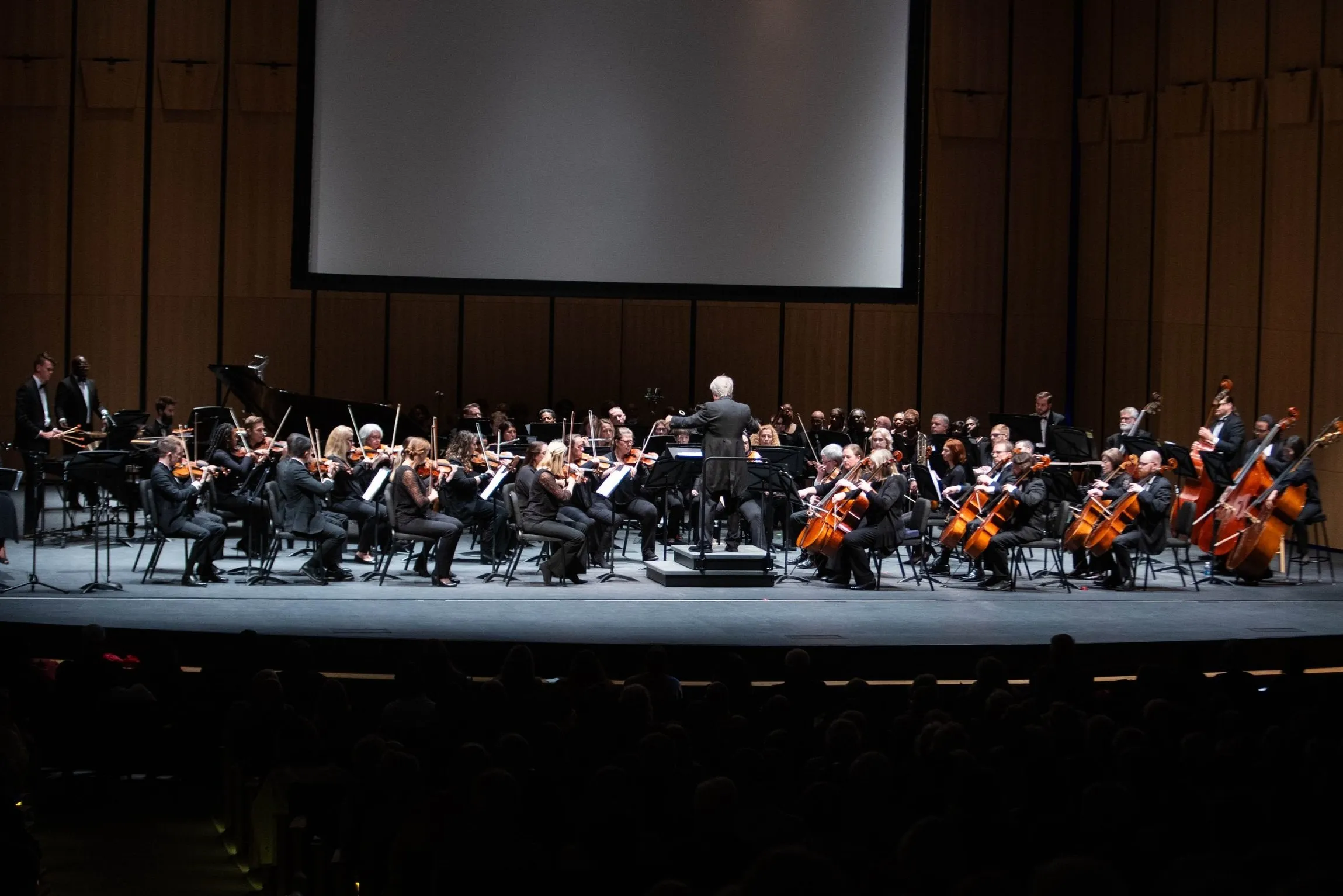 Image Wilmington Symphony Orchestra