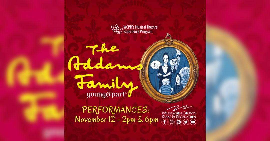 Image The Addams Family (young@part)