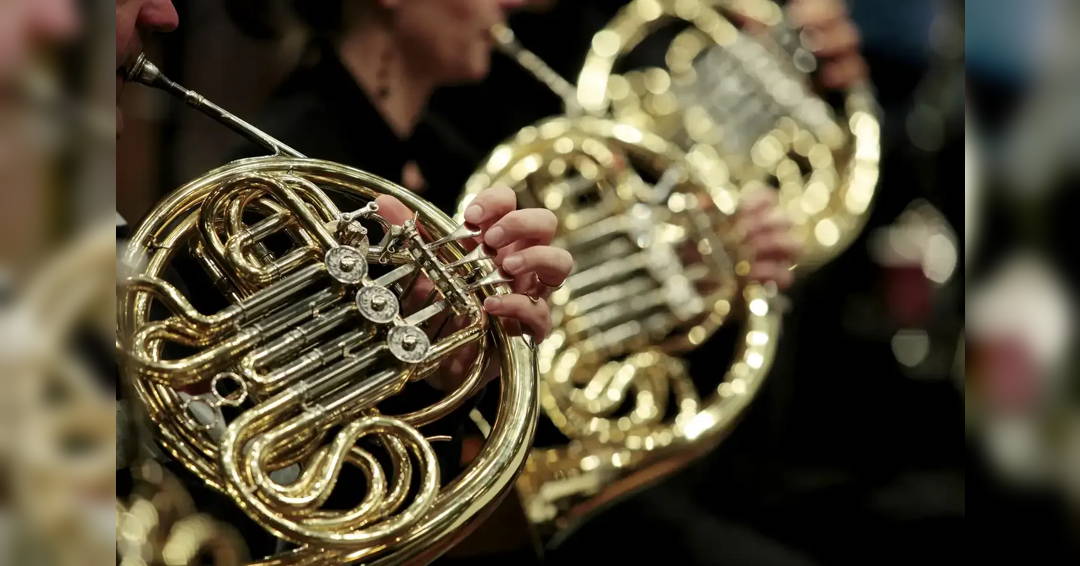 Image Final concert of the BoSy orchestra course