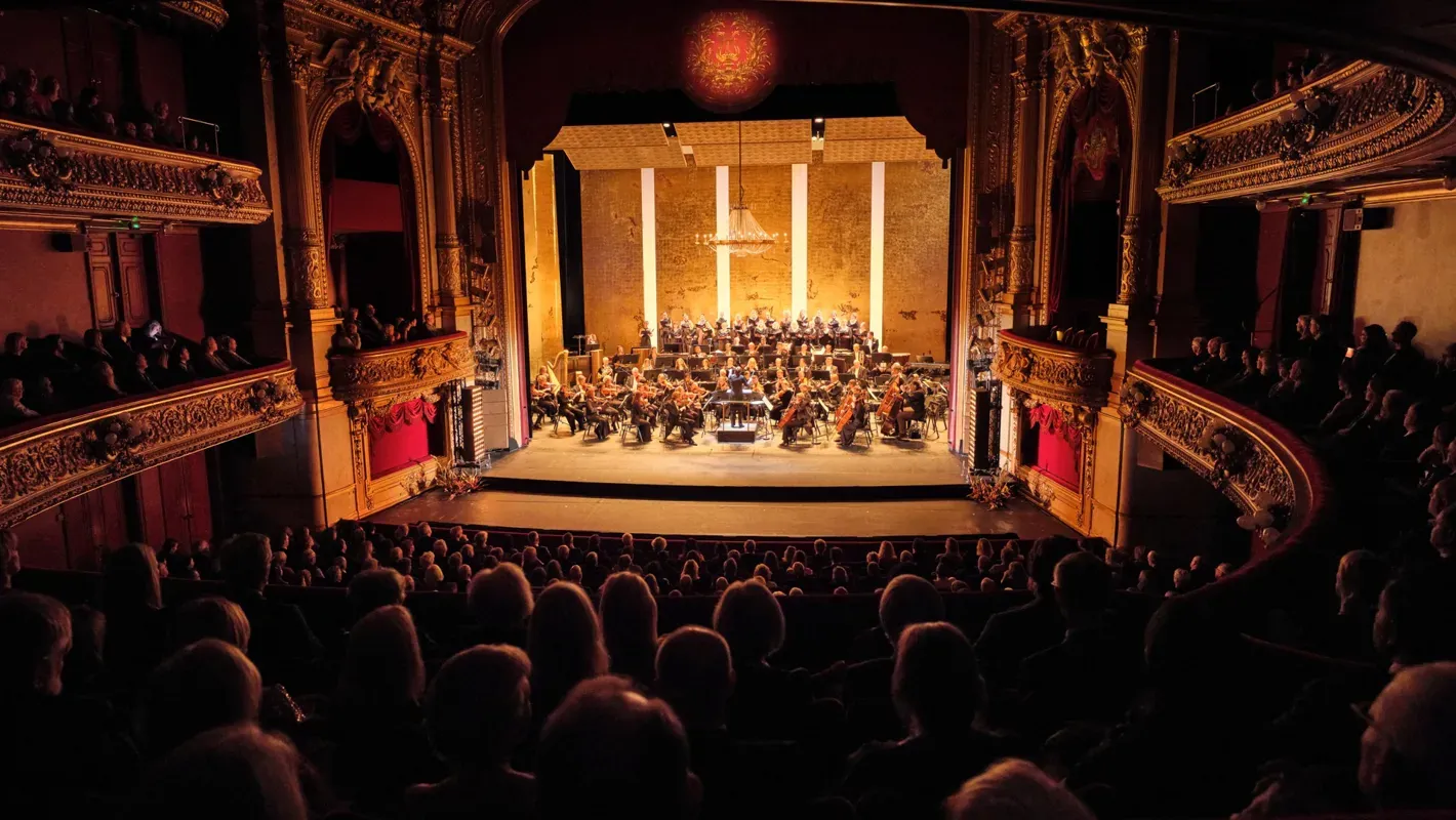 Image Rite of Spring with the Orchestra