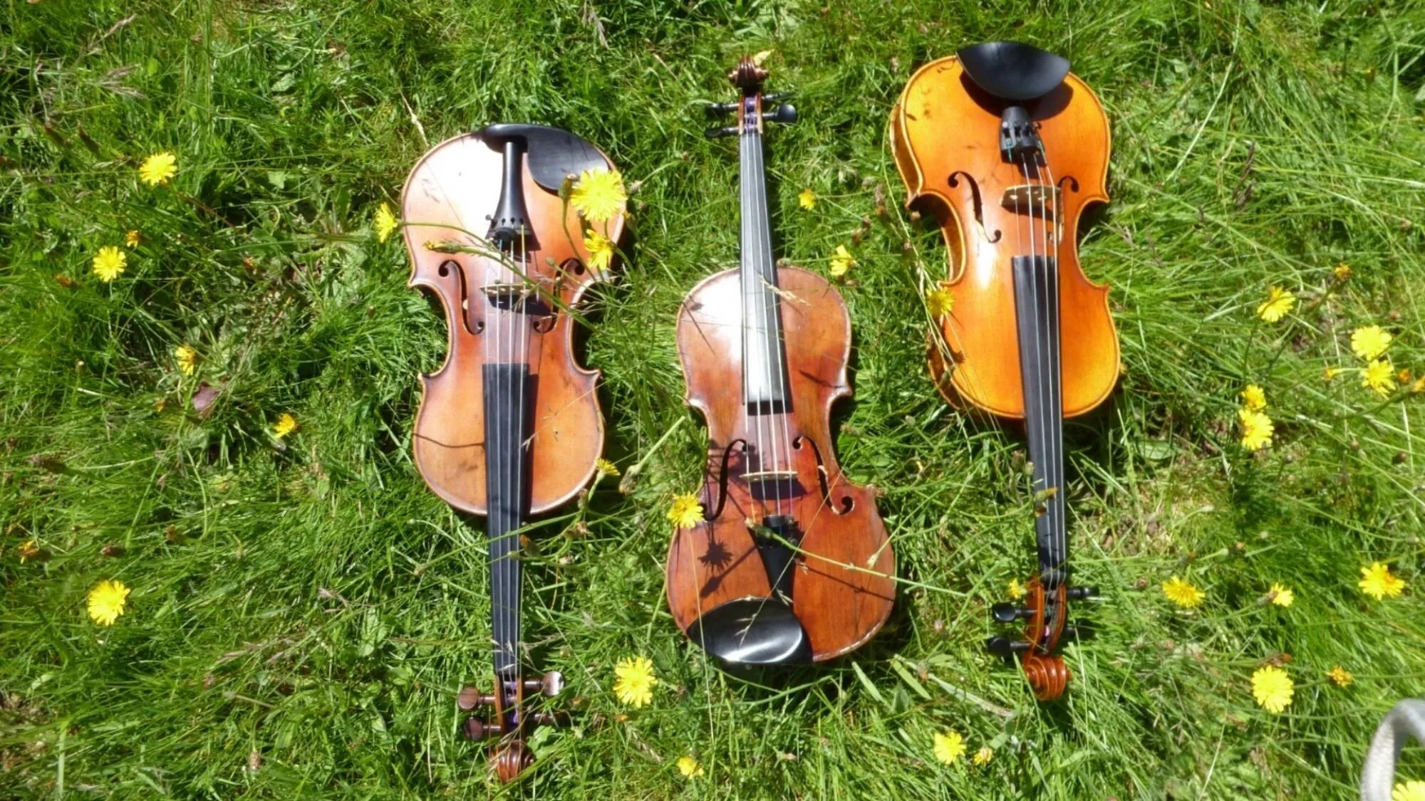 Image REPCo: Folk in the foyer