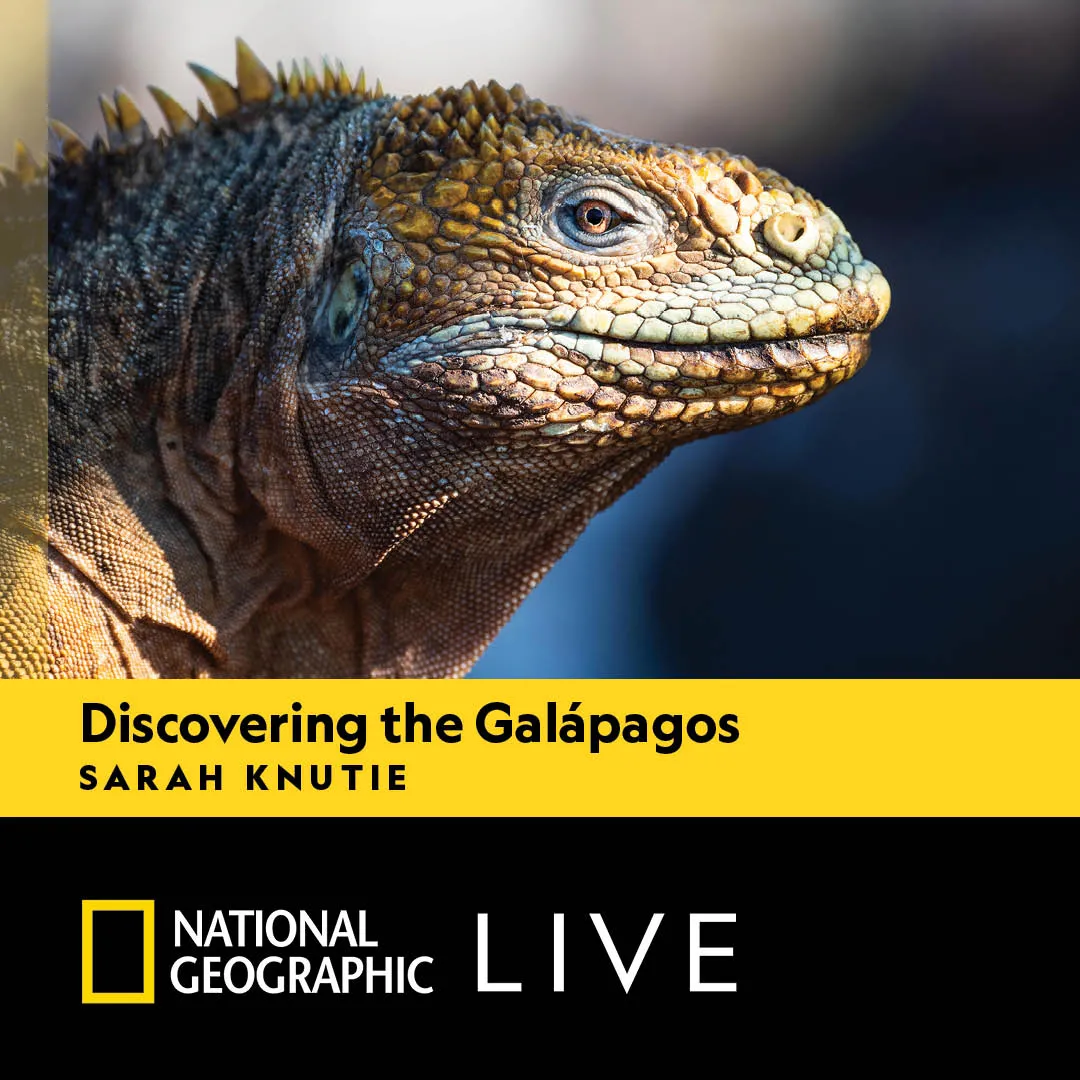 Image Discovering the Galápagos: Sarah Knutie | National Geographic Live