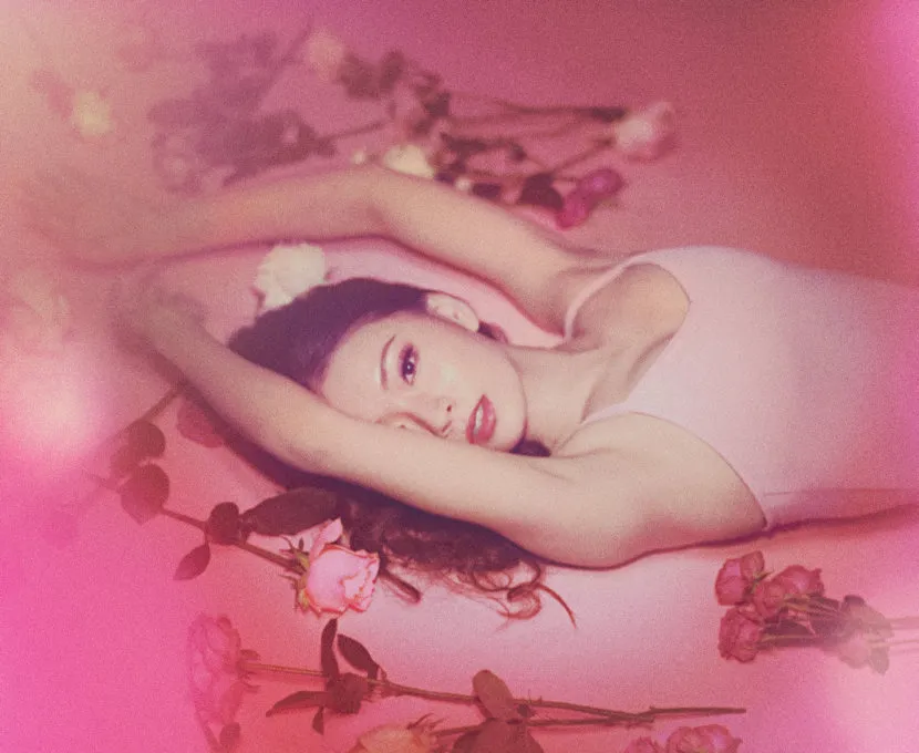 Image The Sleeping Beauty