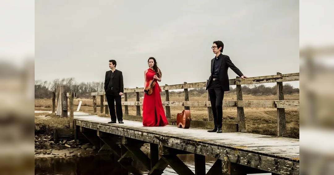 Image Amati's Trio: Voltaire's Candide