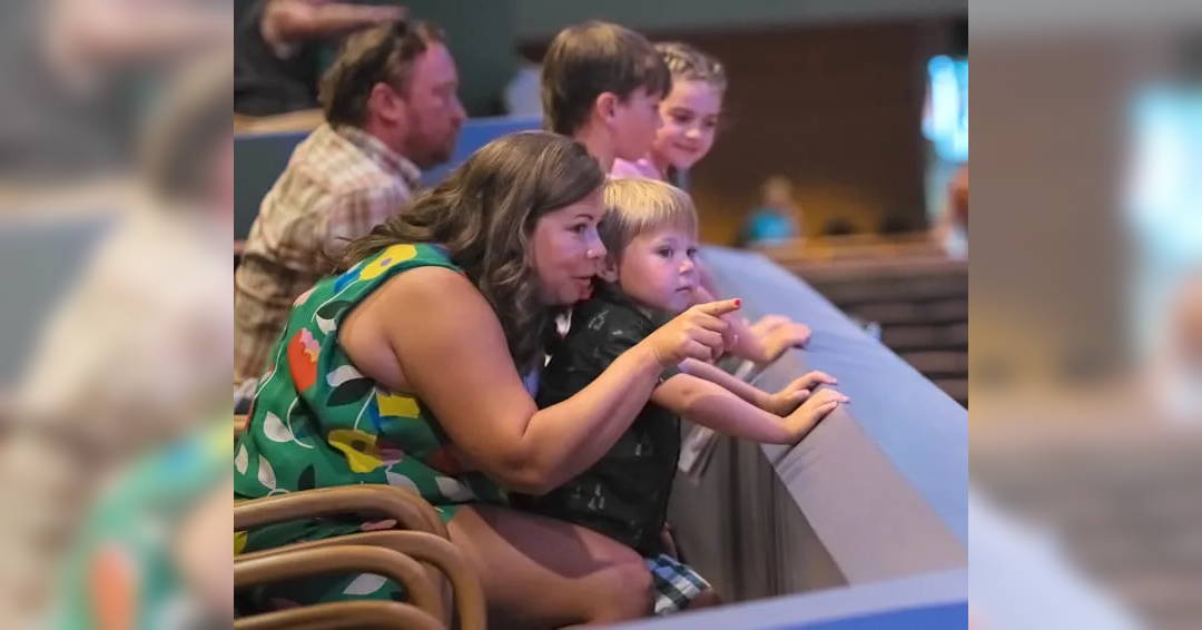 Image Symphonic Storytelling