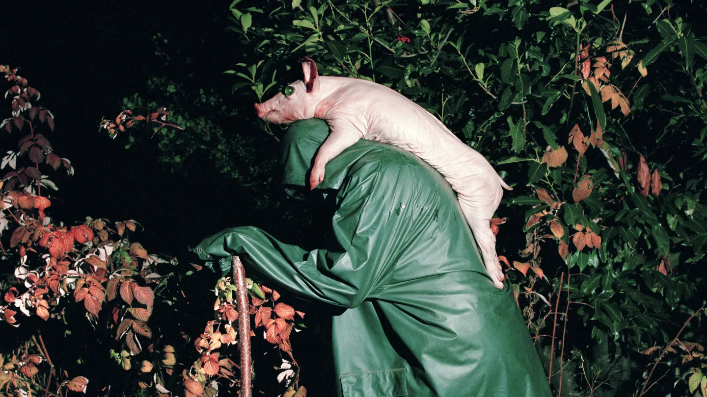 productionImage