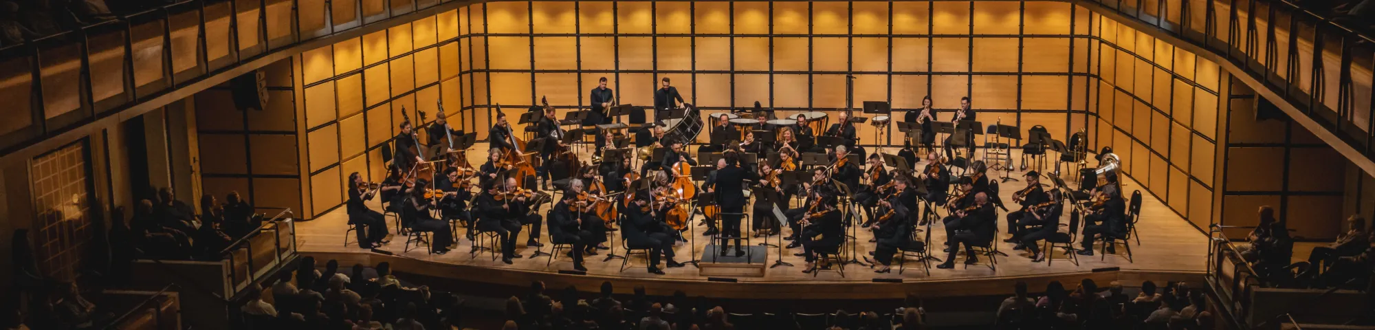 Image Toronto Symphony Orchestra: Dvořák Symphony No. 7