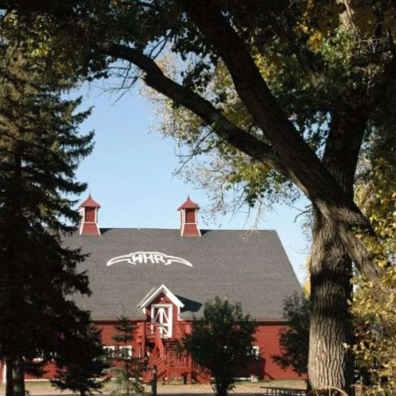 Bailey Goes Baroque in the Barn