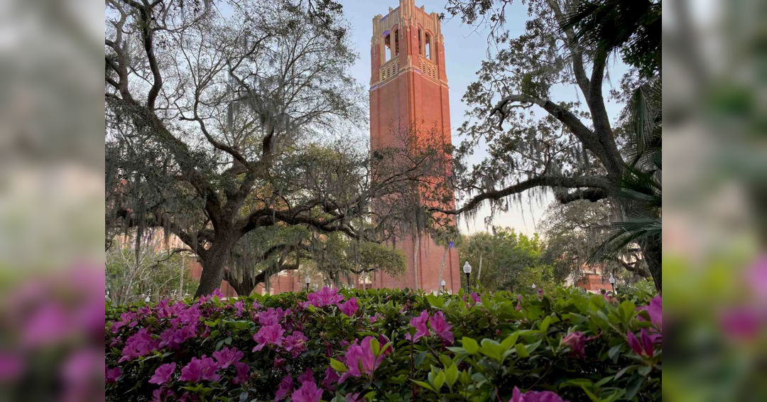 Image Florida Carillon Festival Performance 4
